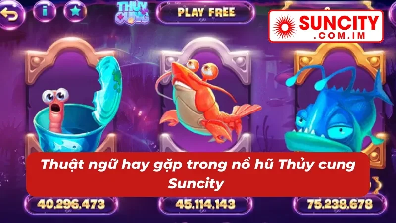 Nổ hũ Thủy Cung - Đắm Chìm Trong Kho Báu Jackpot Tại Suncity 4 Thuộc lòng các cụm từ hay gặp tại slots Thủy Cung